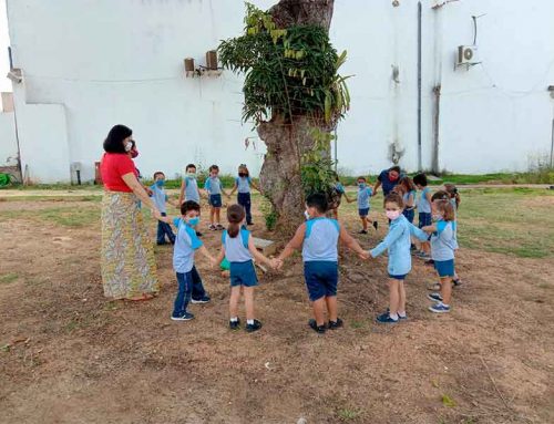 Técnicos da Prefeitura de Lagarto ensinam crianças a plantar árvores frutíferas