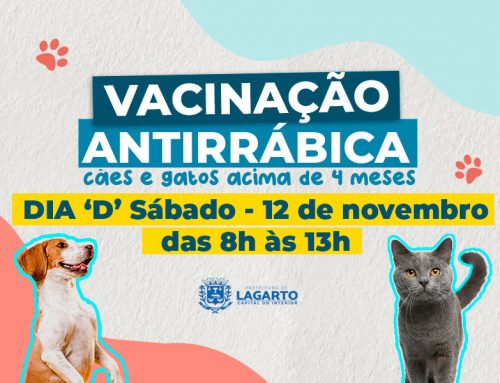 Atenção tutores de pets: Prefeitura de Lagarto realizará dia ‘D’ da vacinação antirrábica neste sábado; confira os locais