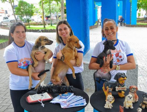 Adote um Pet: Prefeitura de Lagarto realiza feira de adoção responsável na Praça Filomeno Hora