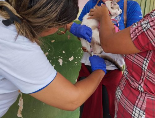 Prefeitura de Lagarto inicia Campanha de Vacinação Antirrábica